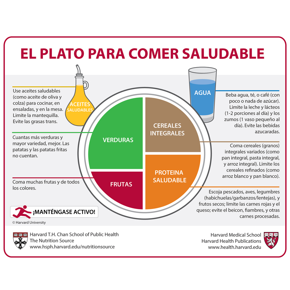 el plato para comer saludable